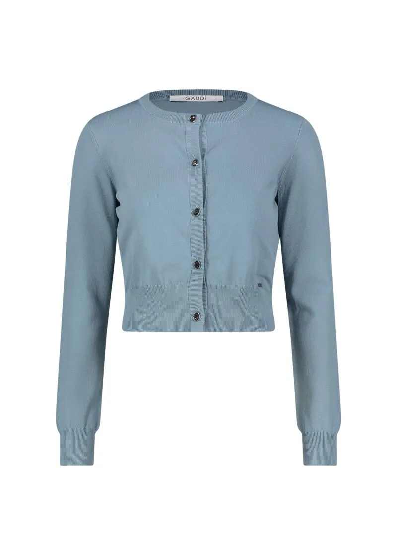 cardigan celeste 1