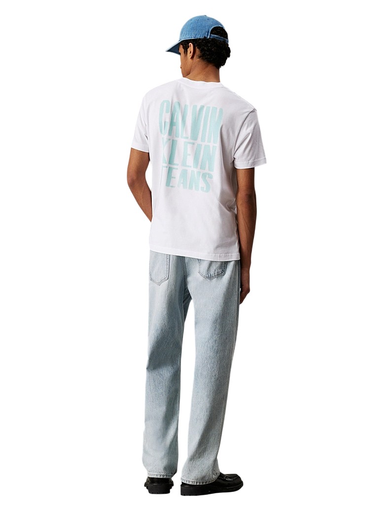 T-ShirtUomo-CalvinKlein-Teoremamoda.shop.