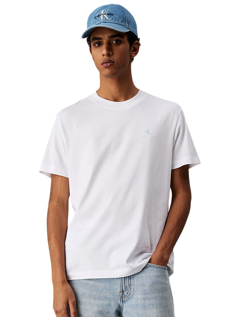 T-ShirtUomo-CalvinKlein-Teoremamoda.shop..