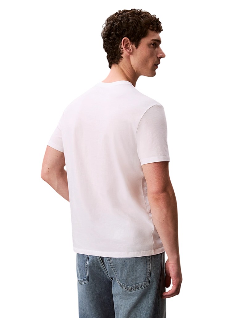 T-ShirtUomo-CalvinKlein-Teoremamoda.shop..